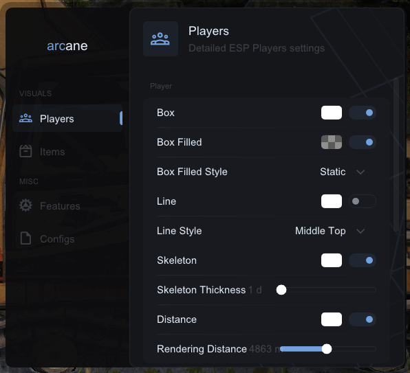 Alternative view of DAYZ ARCAN